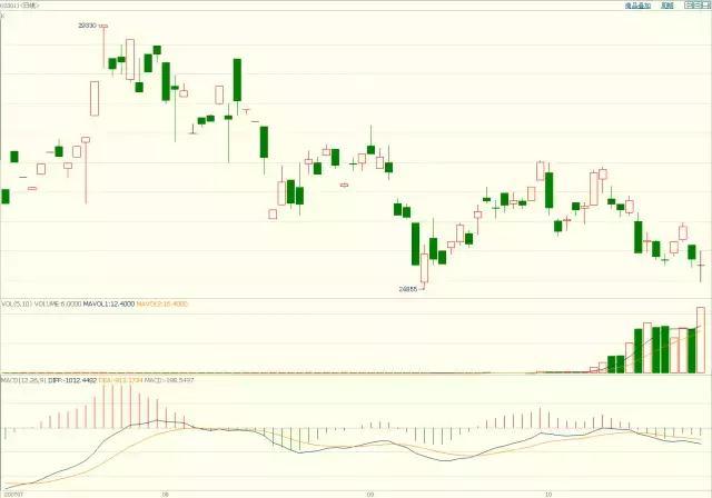 清水河滨河公园创新构建植物“全链条防护网”